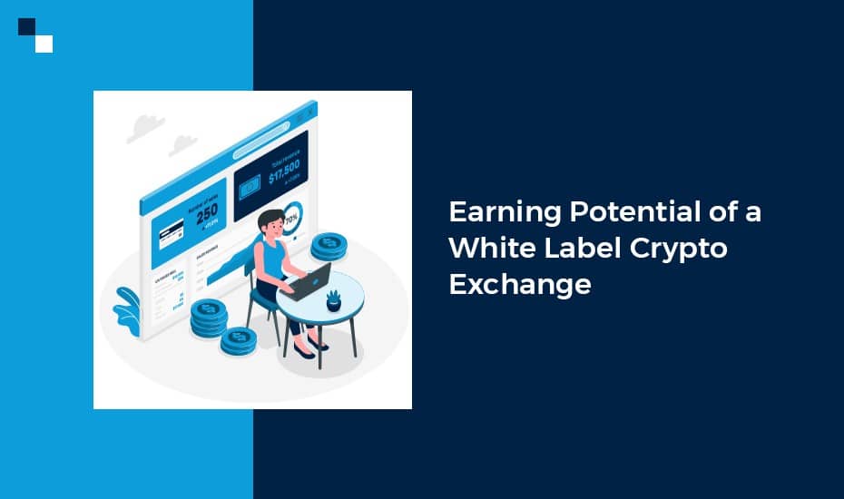 Revenue Streams of White Label Crypto Exchange Software