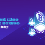 Launch a crypto exchange using white label solutions banner