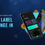 Tips to Maximize Profits with White Label Exchange in 2023