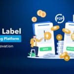 White Label P2P Lending Platform Fintech Innovation