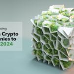 Most Promising Carbon Crypto Companies to Hire in 2024 1
