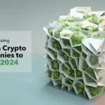 Najbardziej obiecujące firmy zajmujące się kryptowalutami węglowymi do zatrudnienia w 2024 r. 1