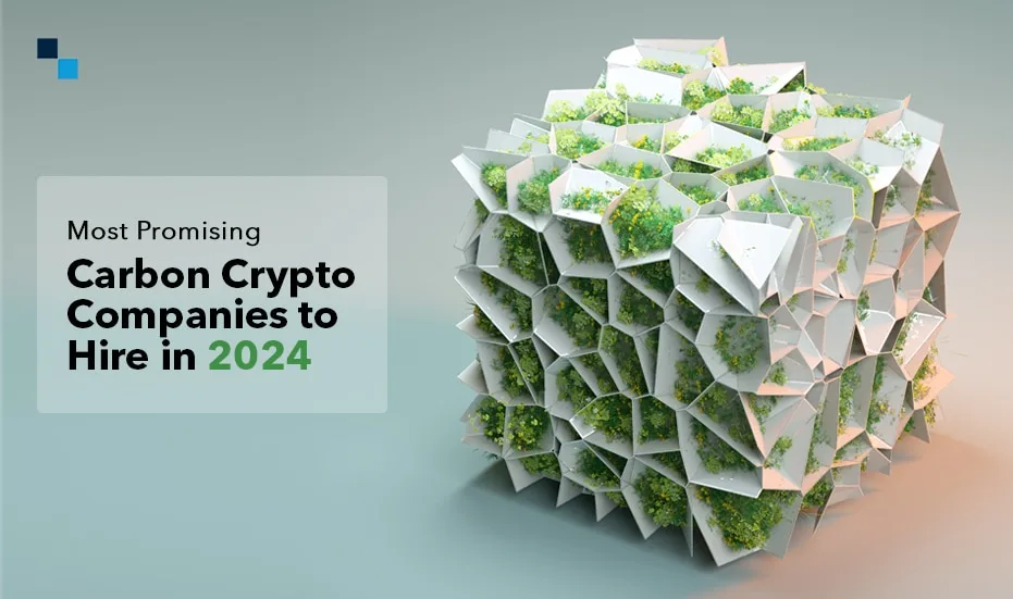 2024-ൽ നിയമിക്കാൻ ഏറ്റവും സാധ്യതയുള്ള കാർബൺ ക്രിപ്റ്റോ കമ്പനികൾ 1