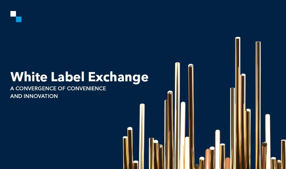 WHITE LABEL БИРЖАСЫ – Ыңғайлылық пен инновацияның конвергенциясы