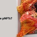what are PNFT