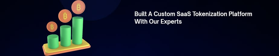 Built A Custom SaaS Tokenization Platform with Our Experts