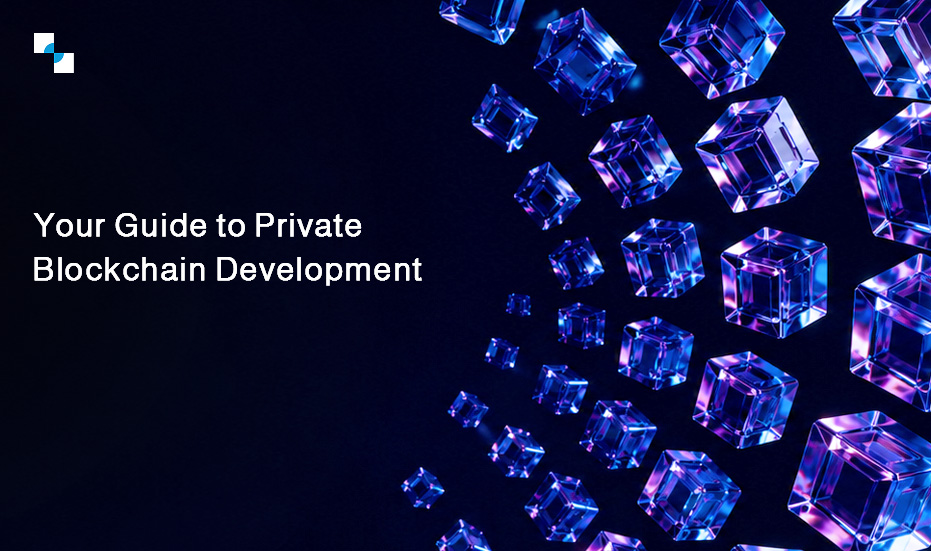 Your Guide to Private Blockchain Development