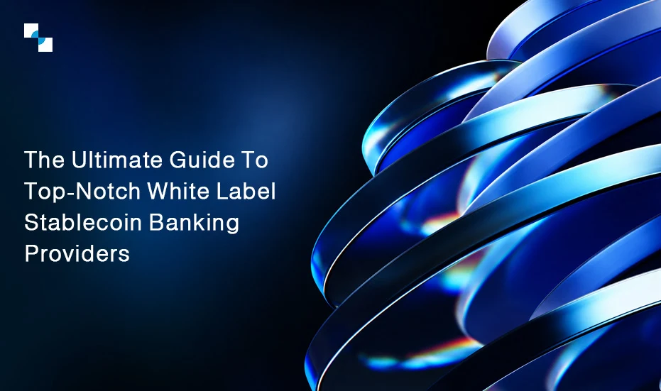Enterprise Vendor Evaluation Framework for Choosing a White Label Stablecoin Banking Platform