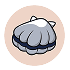 Scallop