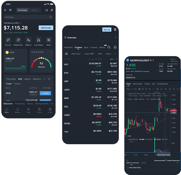 Decentralized Exchange Development Company